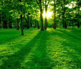 宝鸡哪个诊所看小孩咳嗽好（宝鸡中医儿科医生哪个看的好）