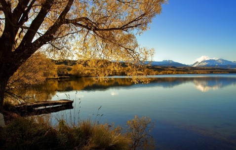 嗜睡咳嗽是什么病的前兆表现