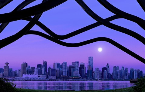 怀孕初期吃了藏红花泡水（怀孕初期吃了藏红花泡水怎么办）