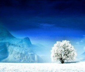 小孩发烧冷的时候可以吃布洛芬（小孩发烧冷可以盖被子吗）