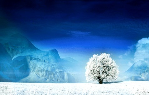 试管婴儿养囊胚的成功率高吗