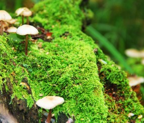 福州试管婴儿医院排名最好的医院