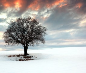 小孩发烧腿部长一个个小包（小孩发烧腿部长一个个小包不痛不痒）