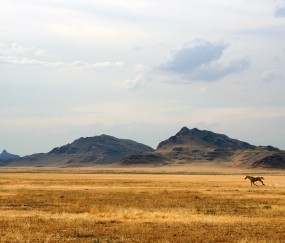 小孩感冒咳嗽出汗怎么办（小孩感冒咳嗽出冷汗怎么回事）