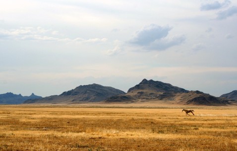 小孩发烧后可以吃鱼粥吗（孩子发烧可以吃鱼粥吗）