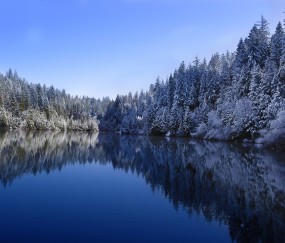 福州试管哪个医院最好