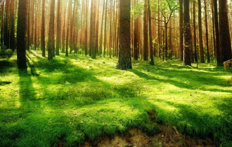 怀孕初期左侧隐隐腹痛（怀孕初期左侧隐隐腹痛正常吗）