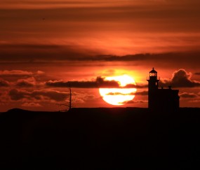 福州做试管最好的医院