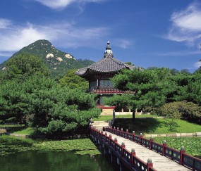 关于福州供卵的私立医院排名，附2024成功率最高的供卵试管机构名单！的信息