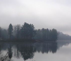 上海集爱试管婴儿成功率高吗