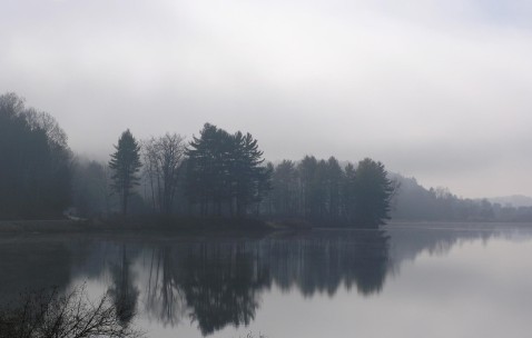 上海集爱试管婴儿成功率高吗