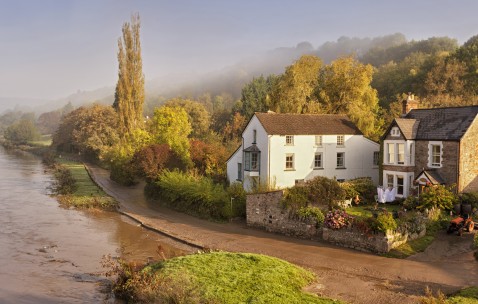 刚怀孕吃秋葵好吗