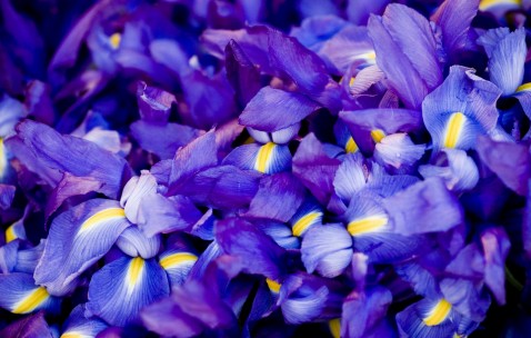 飞鹤茁然儿童奶粉广告