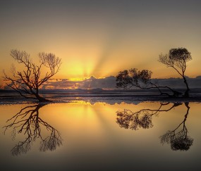 人体肝不好有什么症状（人体肝脏不好表现在哪几个方面）