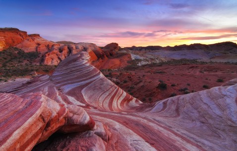 42做试管婴儿成功率（42岁试管晚不晚 45岁）