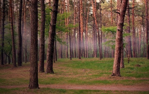 福州供卵不排队试管医院一览，选择三代试管供卵需要多少钱！（福州哪里做试管）