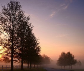 包含福州可做三代试管供卵的5家医院生殖中心，附2024供卵所需费用表！的词条