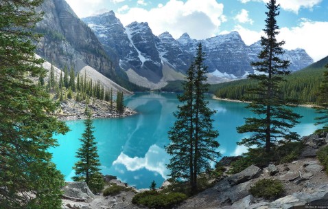 小孩发烧搓手臂哪里（小孩发烧怎么搓手脚）