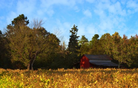 两岁宝宝肚子胀气怎么办快速解决视频