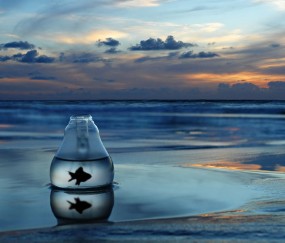 小孩咳嗽嗓子有炎症（小孩子咳嗽嗓子发炎）