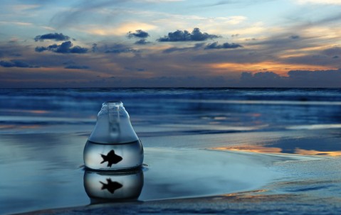 月经来三天是不是怀孕了（月经来三天是不是怀孕了的症状）