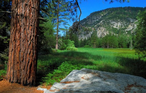 夫妻o型血生的宝宝有什么好处