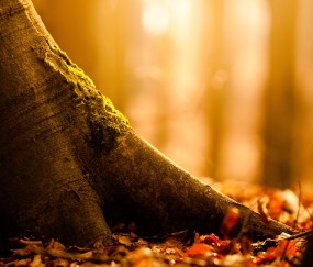 小孩突然发烧说眼睛不舒服（小孩突然发烧说眼睛不舒服是为什么）