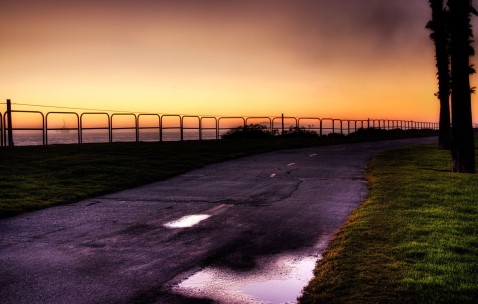 常备6种食物降甘油三酯最快