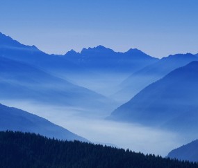 怀孕初期低烧畏寒（怀孕初期发低烧怎么回事）