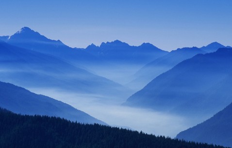 怀孕初期可以吃黄鹂糕吗（怀孕初期可以吃黄芩胶囊吗）