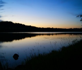 小孩发烧脚不热（小孩发烧脚不热身上热怎么办）