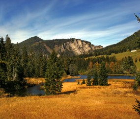 温州哪里看小孩咳嗽最好（温州哪里看小儿科好）