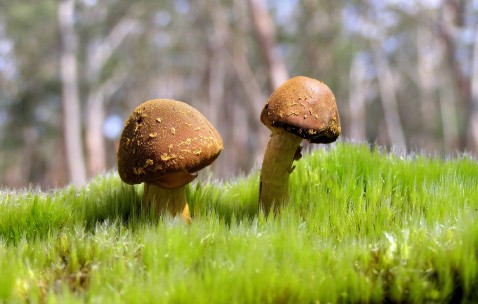 44岁做试管有成功的吗