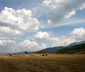 怀孕初期能吃刺老芽吗（怀孕了可以吃刺老芽吗）