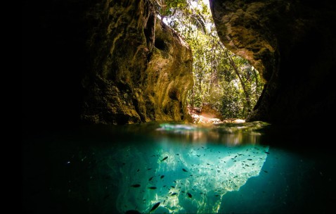 怀孕初期验血怎么知道结果（怀孕初期验血怎么知道结果是双胞胎）