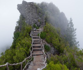 怀孕初期可以吃新核桃吗（孕妇刚怀孕能吃核桃吗）