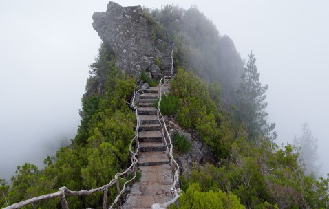 怀孕初期嘴不馋是男孩女孩（孕期嘴不馋食欲一般正常吗）