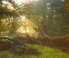 小孩老是喉咙发炎发烧咳嗽（小孩老是喉咙发炎发烧咳嗽什么原因）