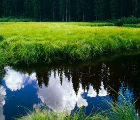 怀孕初期没食欲老想放屁（怀孕初期一直想放屁放不出来）