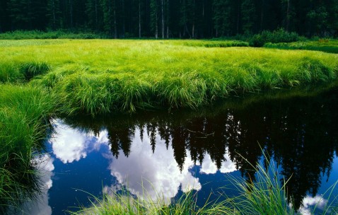 哺乳期需要吃什么水果