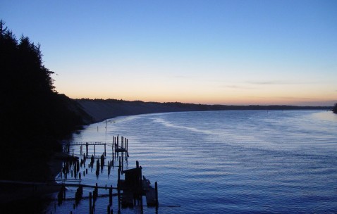 怀孕初期有奶水溢出来（怀孕初期有奶水是怎么回事）