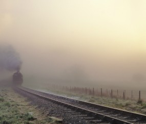 怀孕初期吃完了就拉肚子怎么办（怀孕初期吃完就拉怎么回事）