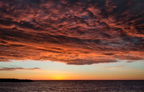 怀孕初期用了无比滴有没有关系（孕期用了无比滴怎么办）